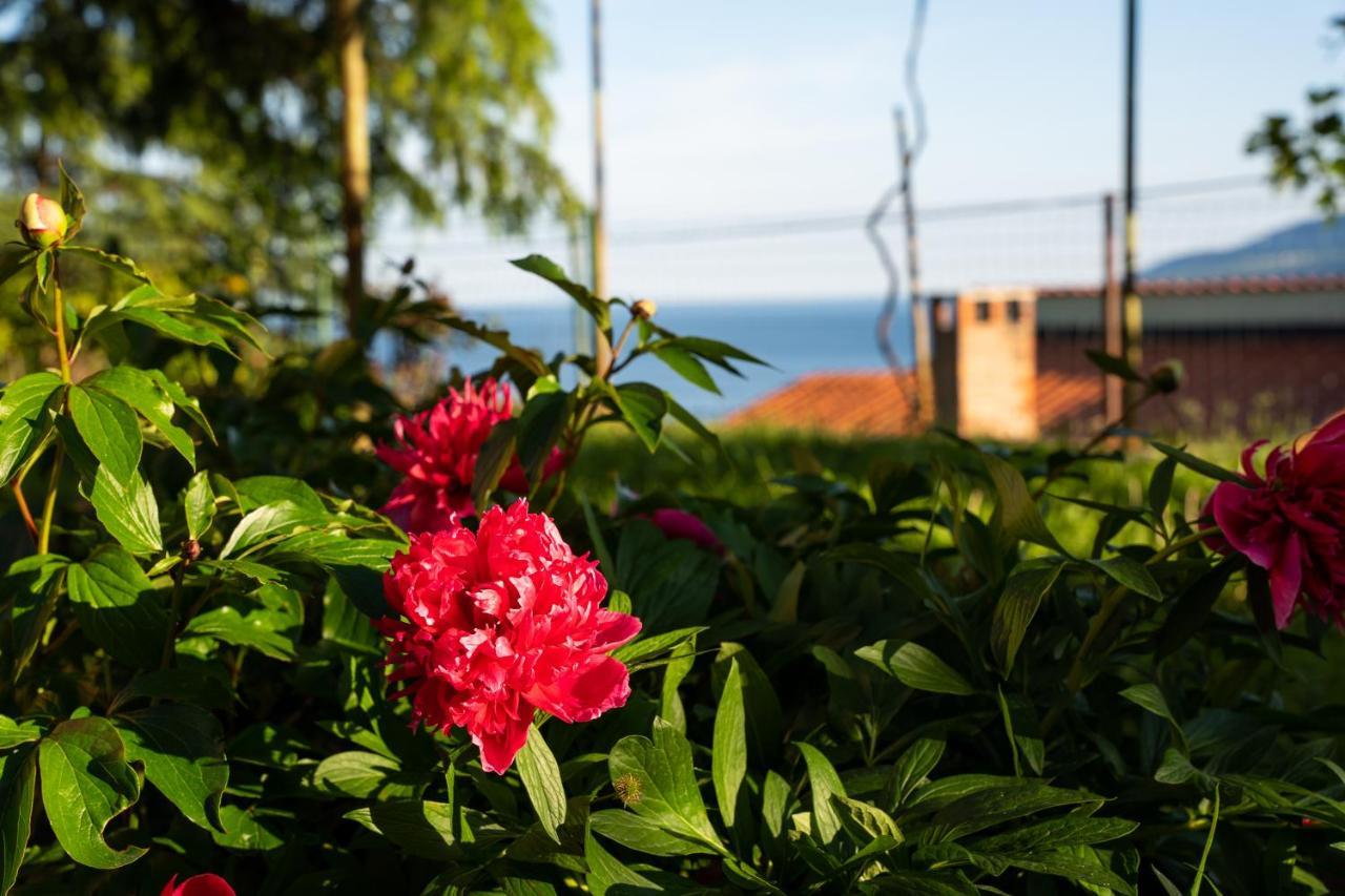 Apartment Stella Marina غاباس المظهر الخارجي الصورة