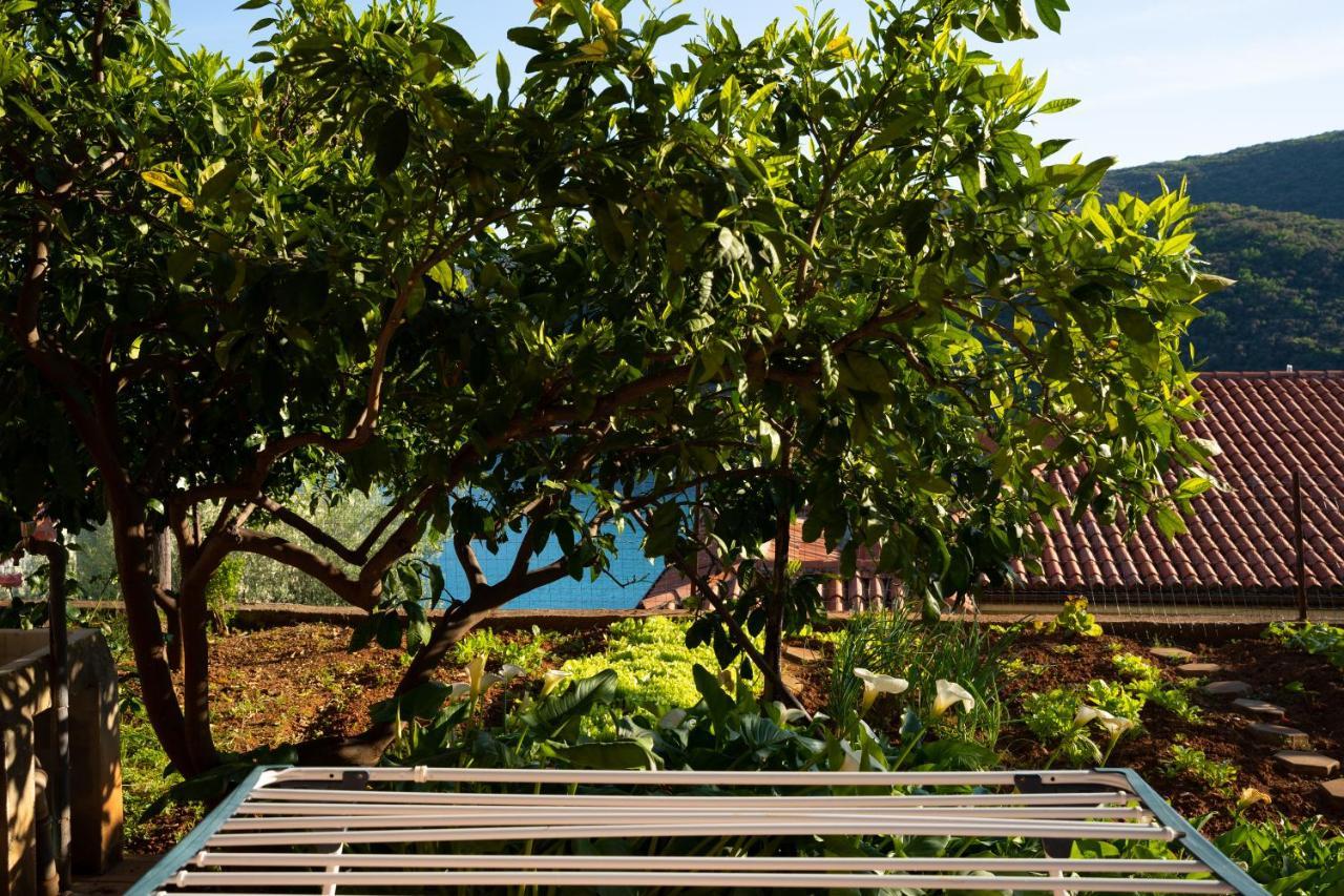 Apartment Stella Marina غاباس المظهر الخارجي الصورة